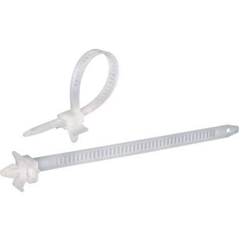 Serre-câble 150 mm x 7.90 mm naturel TRU COMPONENTS TC-PHV150203 1592899 crantage intérieur 100 pc(s)