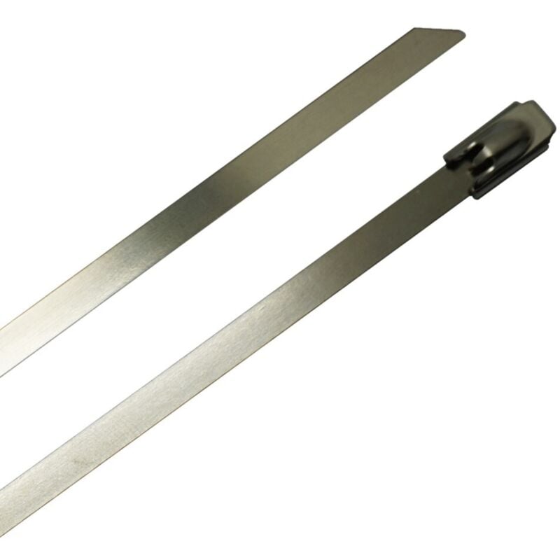 Serre-câble RS PRO en Acier Inoxydable 316, 520mm x 7,9 mm