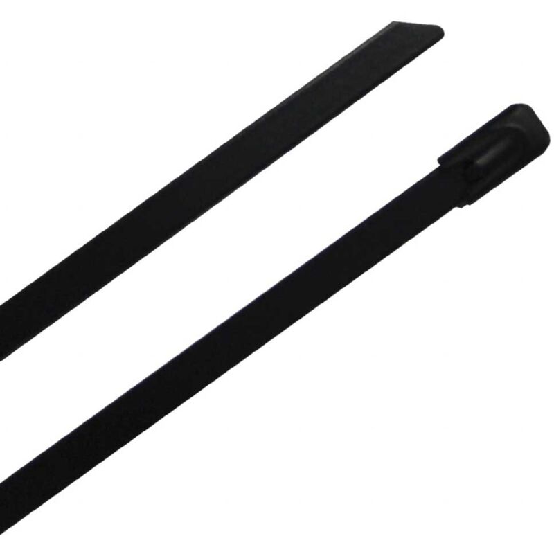 Rs Pro - Serre-câble Noir en Acier Inoxydable 316, 200mm x 4,6 mm