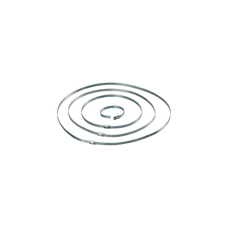 Tru Components - serre-câbles 201 mm x 4.60 mm argent 1570838 sans crantage 10 pc(s)