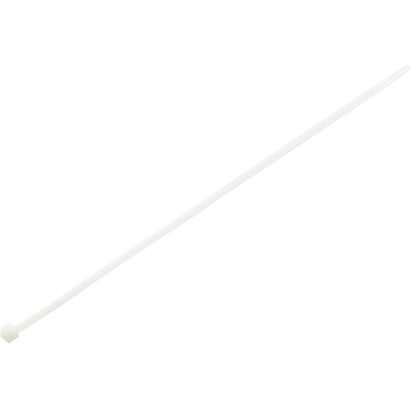 Serre-câbles 300 mm naturel Tru Components TC-RCV300203 1592789 réouvrable 100 pc(s)