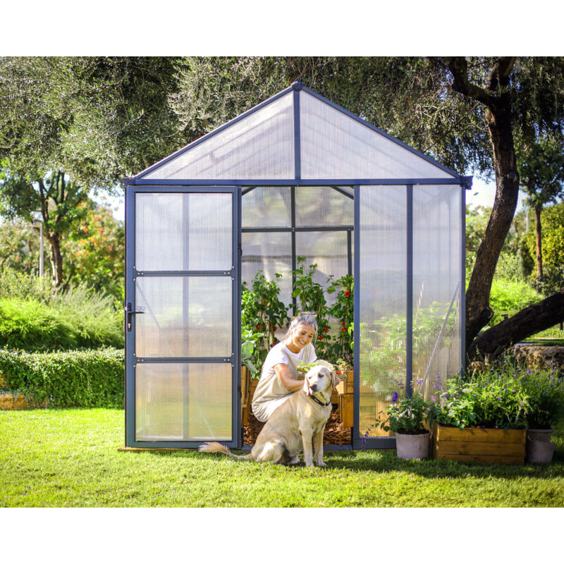 Serre de jardin en aluminium gris et polycarbonate Glory 9.2m²