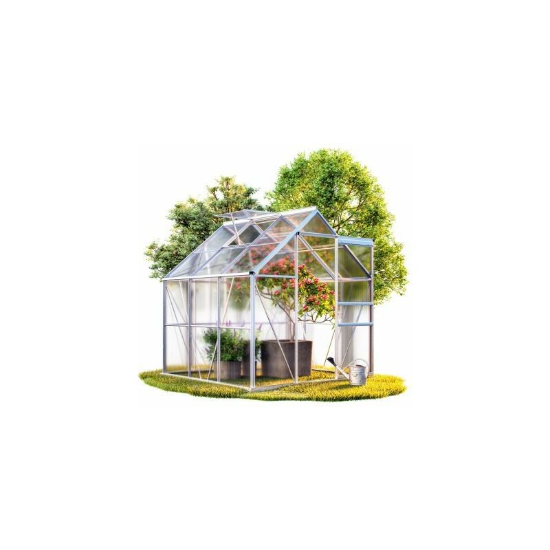 Serre de jardin Aluminium 190 x 190 x 195cm avec lucarne - Transparent
