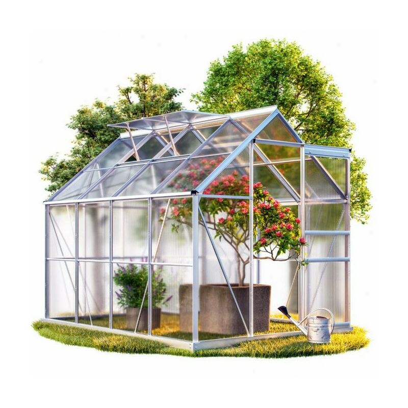 Serre de jardin Aluminium 250 x 190 x 195cm + Fondations avec 2 lucarnes - Transparent