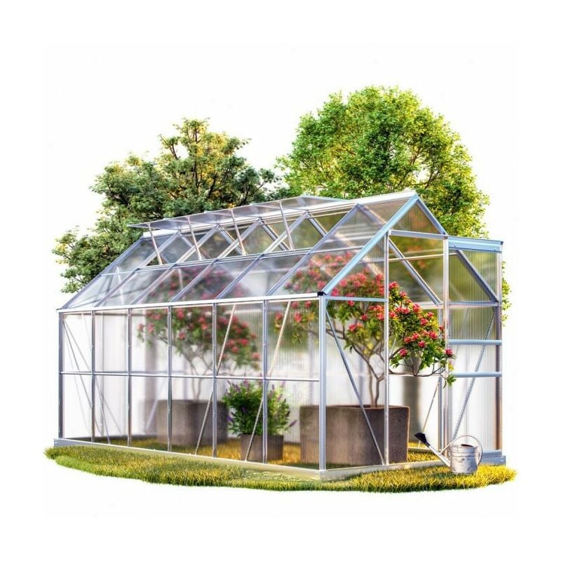 Serre de jardin Aluminium 380 x 190 x 195cm avec 4 lucarnes - Transparent