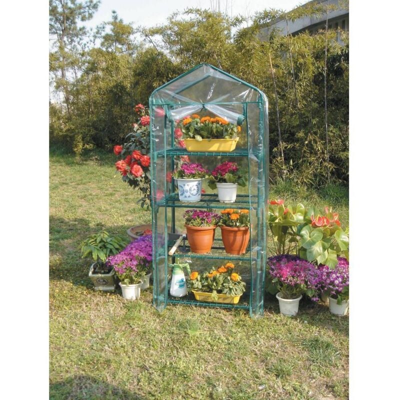 Serre de jardin cm. 69x49x158h