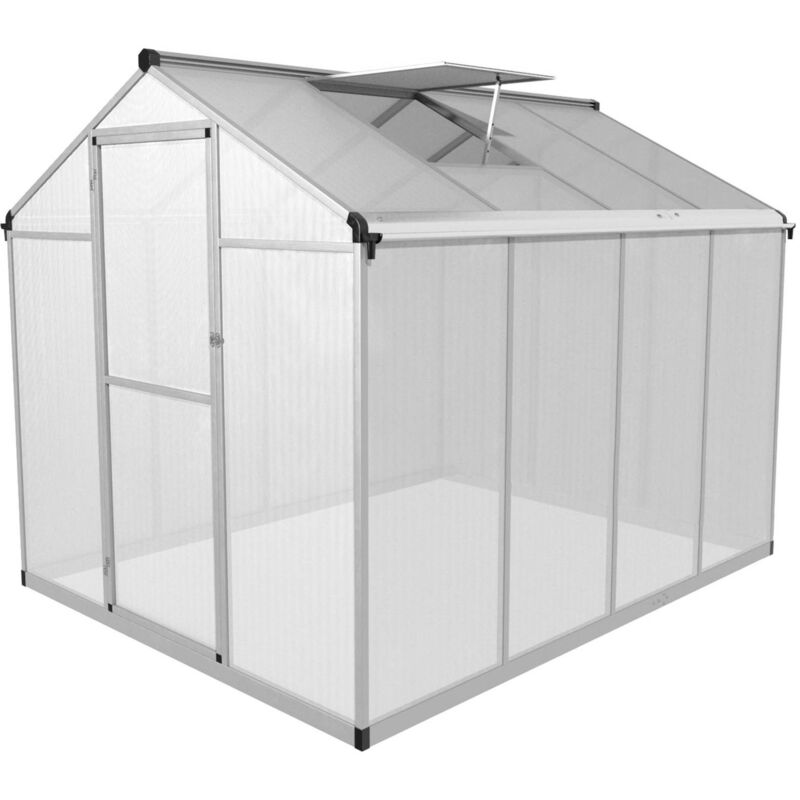 Serre de jardin Mini serre de jardin Aluminium + polycarbonate 242x190x195 cm - Transparent