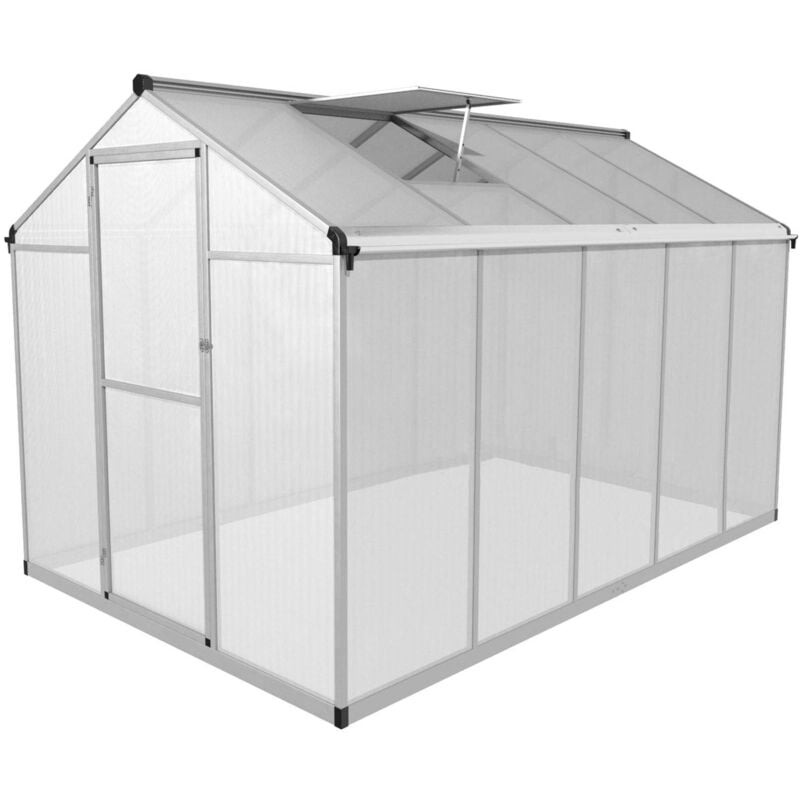 Serre de jardin Mini serre de jardin Aluminium + polycarbonate 302x190x195 cm - Transparent