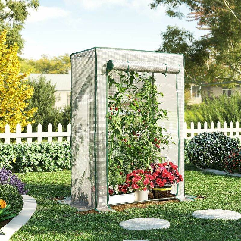 Serre de Jardin à Toit Plat, Serre à Tomates Plastique, 100 x 50 x 150 cm, Abri Potager pour Plantes, avec Porte Enroulable, Anti-UV, pour Balcon,