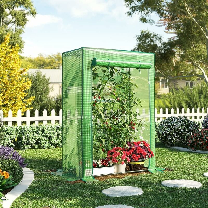 Serre de Jardin à Toit Plat, Serre à Tomates Plastique, 100 x 50 x 150 cm, Abri Potager pour Plantes, avec Porte Enroulable, Anti-UV, pour Balcon,
