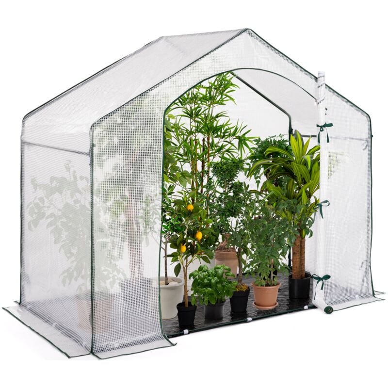 Serre d'hivernage maison 200 x 80 x 160 cm balcon et terrasse