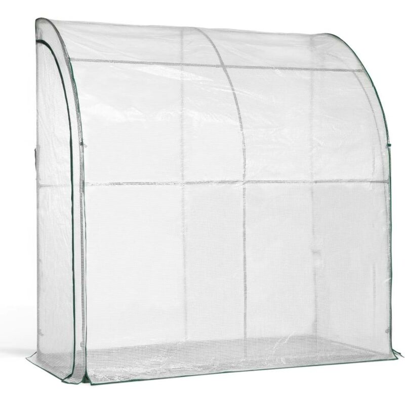 Serre d'hivernage murale adossée - Structure acier avec porte latérale, antigel - 2m² - 200 x 200 x 100 - Transparent