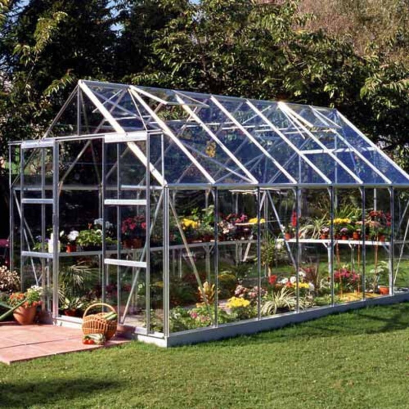 Halls - Serre en verre trempé Magnum 148 avec base - 11.50 m², Couleur Forest green