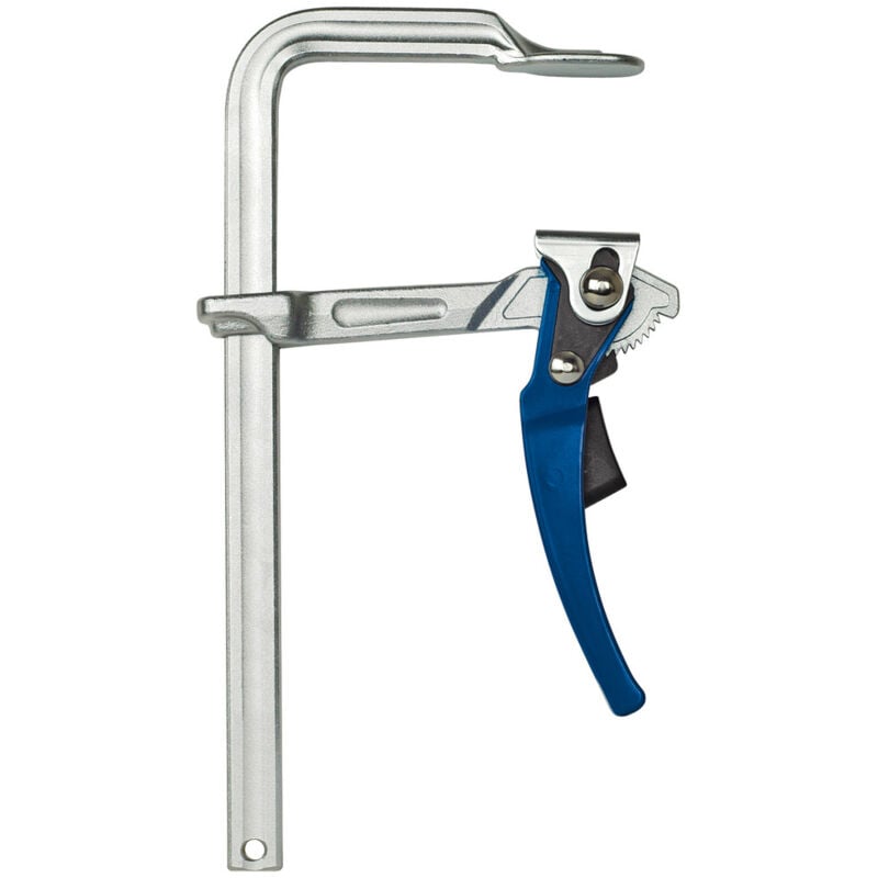 Serre-joint à levier tout acier, Capacité de serrage : 500 mm, Portée Forum 120 mm, Rail de coulissement Forum 25,0 x 12,0 mm