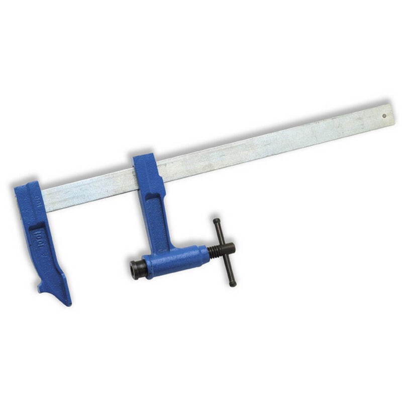 Revex - Serre-joints a pompe - saillie100 - section 30 x 8 - serrage 600 mm