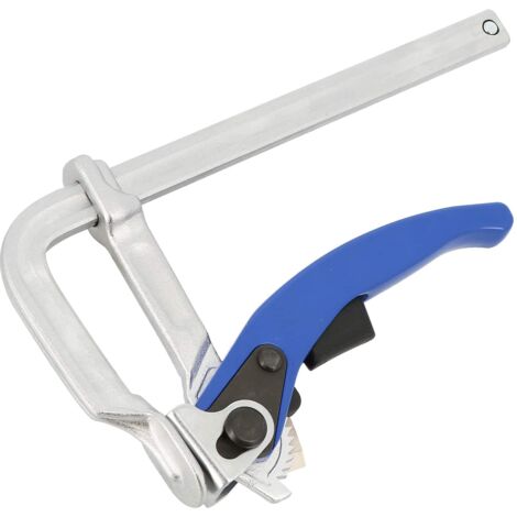 Serre joint forgé à serrage rapide 250 mm - Wilmart
