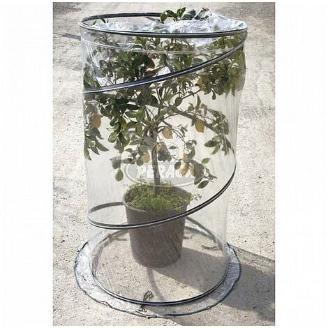 Hydrogarden Mini Serre Pop Up - Petite Tente d'hivernage pour Plantes - Pot  de Fleurs - Mini Serre - Protection hivernale pour Plantes (70 x 70 x 80  cm) : : Jardin