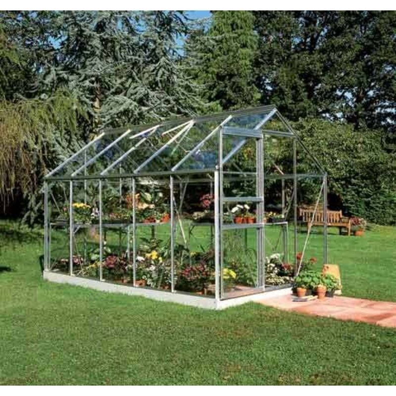Serre en verre horticole Popular 106 avec base - 6.20 m², Couleur Silver
