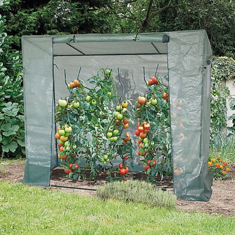 Serre tomatillo - la serre - divers