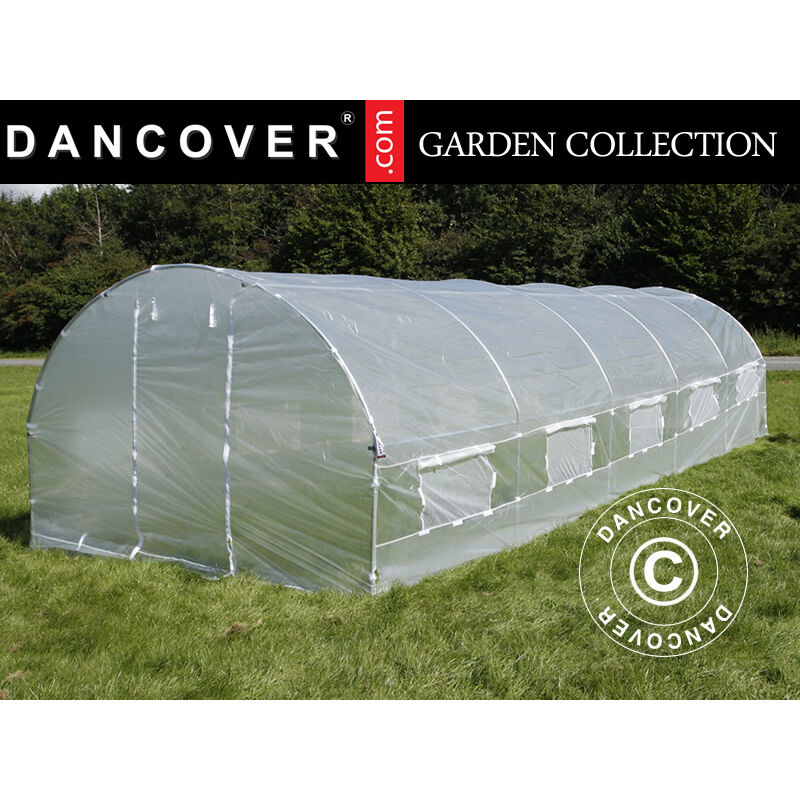 Dancover - Serre Tunnel 4x10,6x2m, 42,4m², Transparent