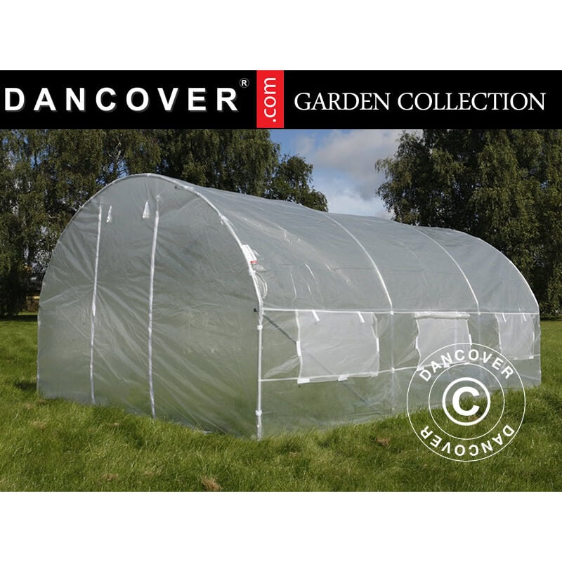 Dancover - Serre Tunnel 4x4x2m, 16m², Transparent