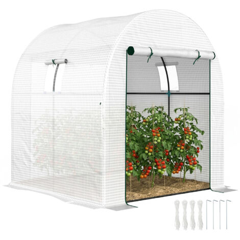 Serre tunnel en acier et polyéthylène résistant aux UV de 1,8 x 1,8 x 2 m pour potager, avec portes et fenêtres enroulables. Blanche.