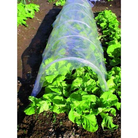 Serre tunnel en PVC Blinky cm 500x45H