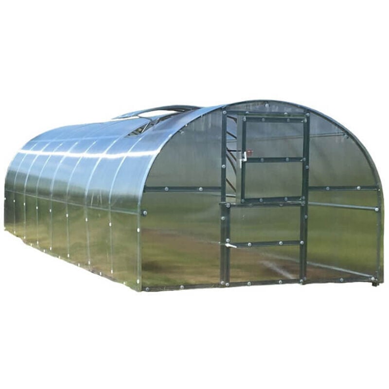 Atout Loisir - Serre tunnel polycarbonate larg 3 m Jura Baltic, Long 2 m, Épaisseur 4 mm