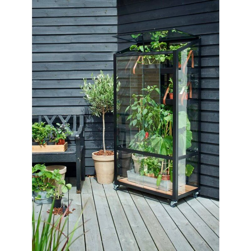 Mini-serre Juliana Serre urbaine Noir Revêtu par poudre, 3 mm Épaisseur de paroi 80 x 40 cm