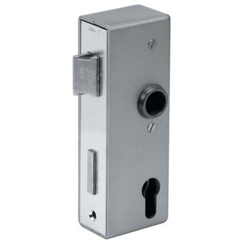 Palastre 141U, blank din links und rechts Dimension A40xl60xC173 mm