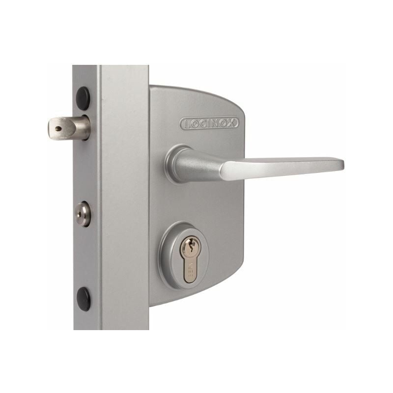 Locinox - Serrure à clé pour portail industriel, poteau carré 10 à 30mm, couleur gris.