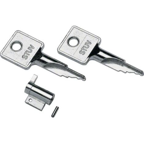 Serrure à clé pr cache-bornes - COFFRET DISTRIBUTION HAGER VZ313