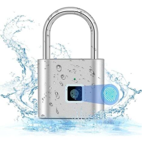 Serrure à empreinte digitale, serrure intelligente, étanche, cadenas à empreinte digitale, chargement USB, serrure biométrique haute sécurité pour casier de gym, bagages, casier (argent)