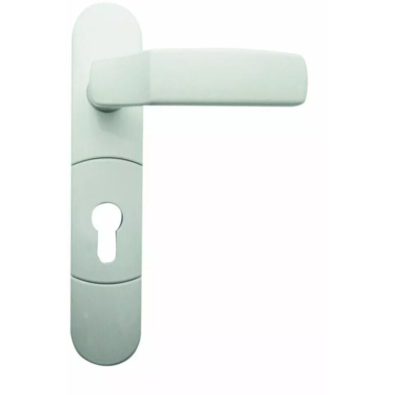 Module extérieur béquille débrayable p/cle pour antipanique EN5000 - blanc - réversible JPM