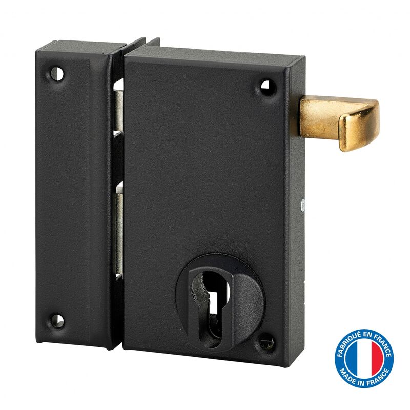 Boitier de serrure verticale en applique double entrée à tirage pour porte d'entrée, axe 45mm, gauche, 75x130mm, noir