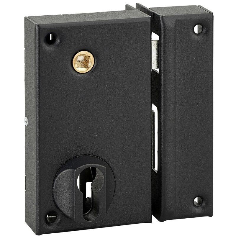 Boitier de serrure verticale en applique double entrée à fouillot pour portail, droite, 75x130mm, axe 45mm, noir