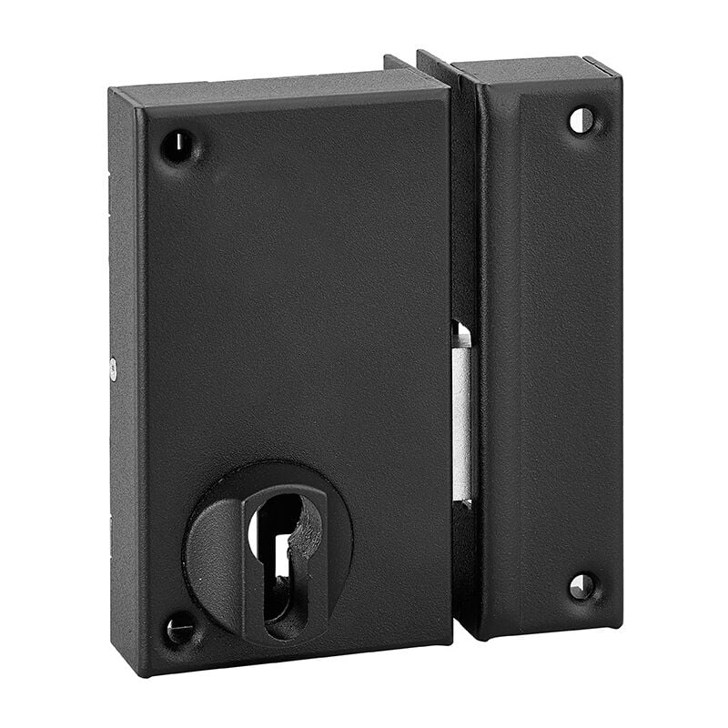 Thirard - Boitier de serrure verticale en applique double entrée pour porte de cave, pêne seul, droite, axe 45mm, 75x130mm, noir