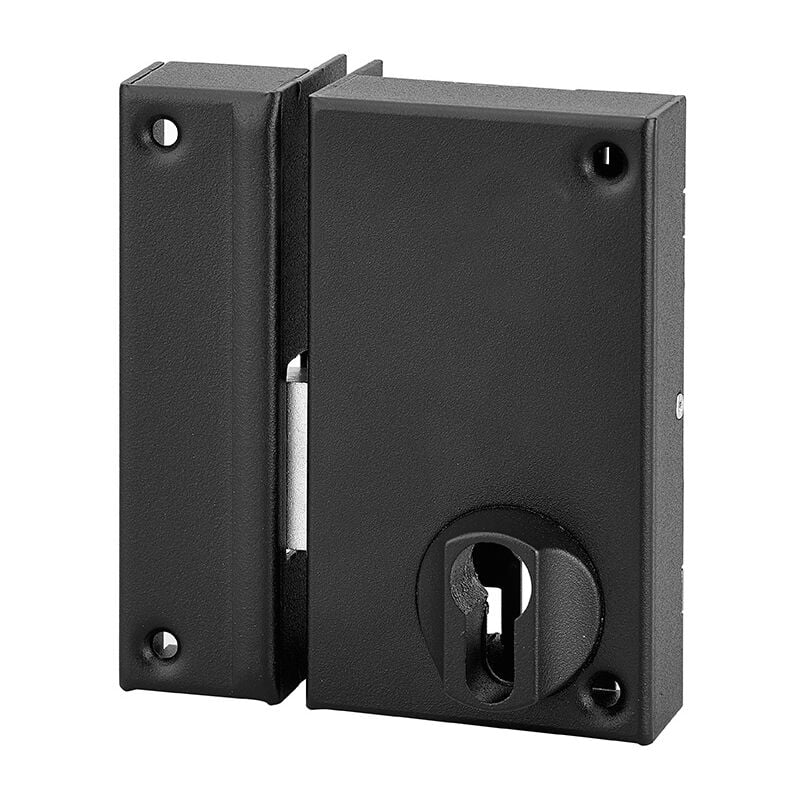 Boitier de serrure verticale en applique double entrée pour porte de cave, pêne seul, gauche, 75x130mm, axe 45mm, noir