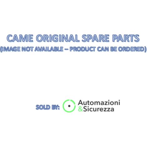 Serrure avec clé A4366 5008 CAME 119RIA0485047