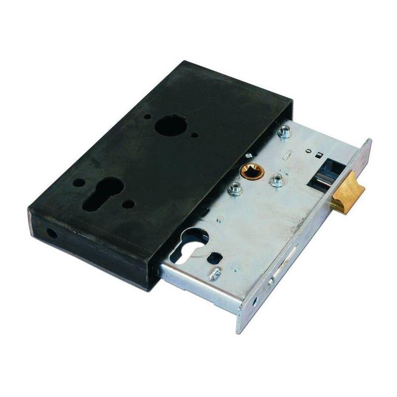 Serrure De Portail 72/55/30 + Boîtier D'insertion