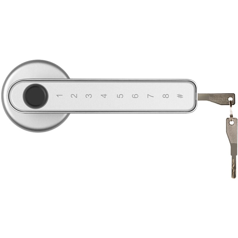 Serrure de porte intelligente à empreintes digitales et mot de passe, verrouillage de porte, levier de porte ouvert gauche-droite, ensemble de