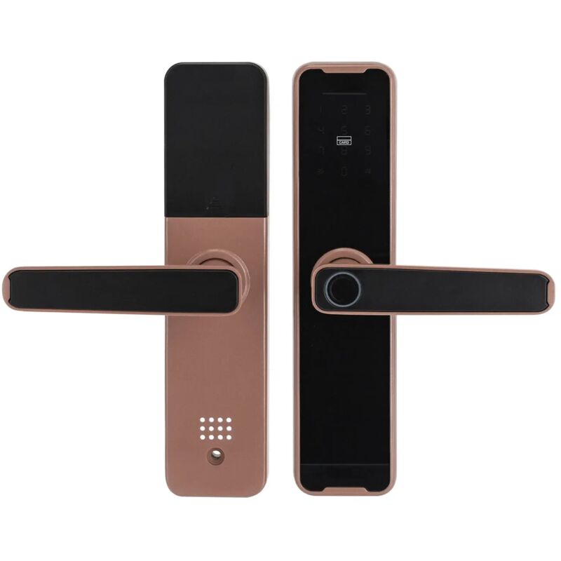 Serrure de porte biométrique à empreintes digitales poignée de porte intelligente électronique, mot de passe, carte magnétique, clé, programme