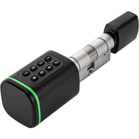 Serrure de porte électronique avec code numérique, serrure de porte noire, serrure standard européenne, clé manuelle, carte intelligente, mot de passe, application mobile