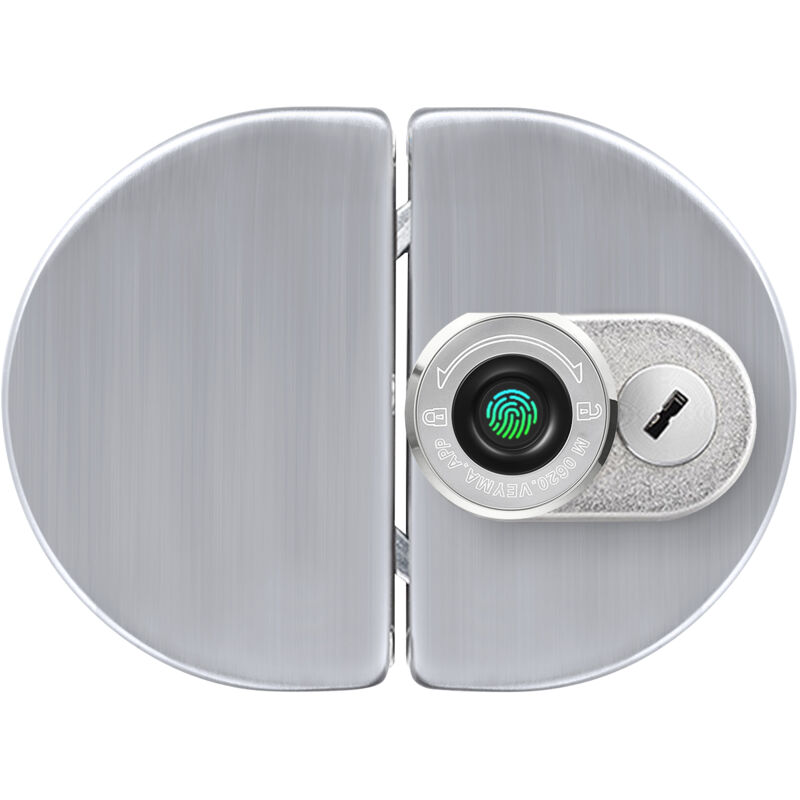 Lifcausal - Serrure De Porte En Verre Intelligente, Clé MéCanique, 3 MéThodes De DéVerrouillage, Acier Inoxydable, 100 Empreintes Digitales, Bt Semi