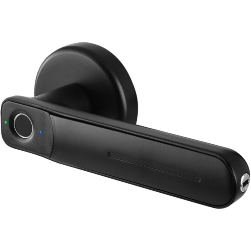 Serrure de porte intelligente Serrure biométrique de sécurité à domicile