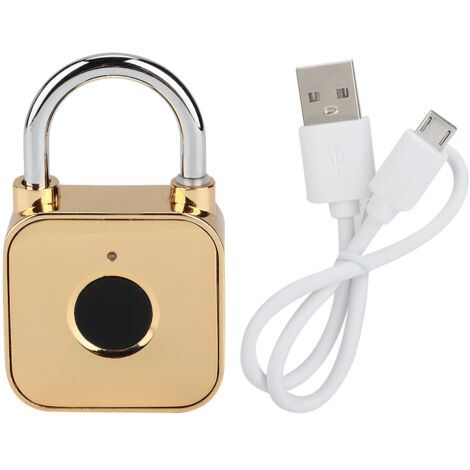 Serrure de porte sans clé pour la sécurité domestique, cadenas intelligent à empreinte digitale rechargeable par USB, couleur or