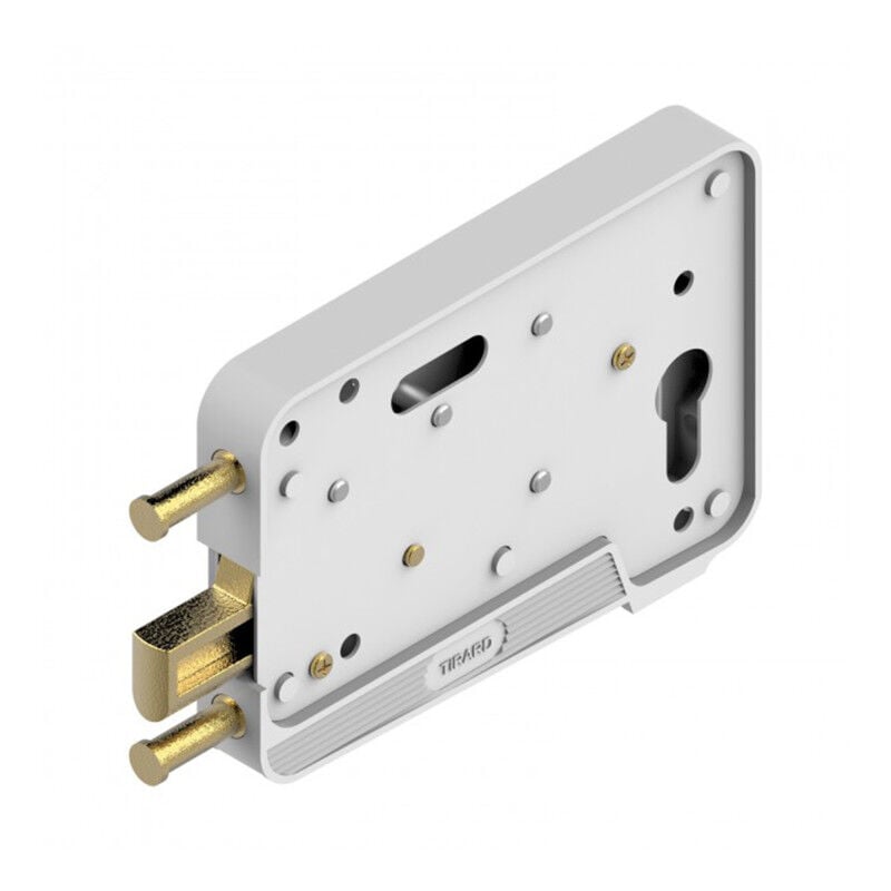 Store Menuiserie - Serrure ea à Pêne Levant, en Applique, pour Portes de Garage