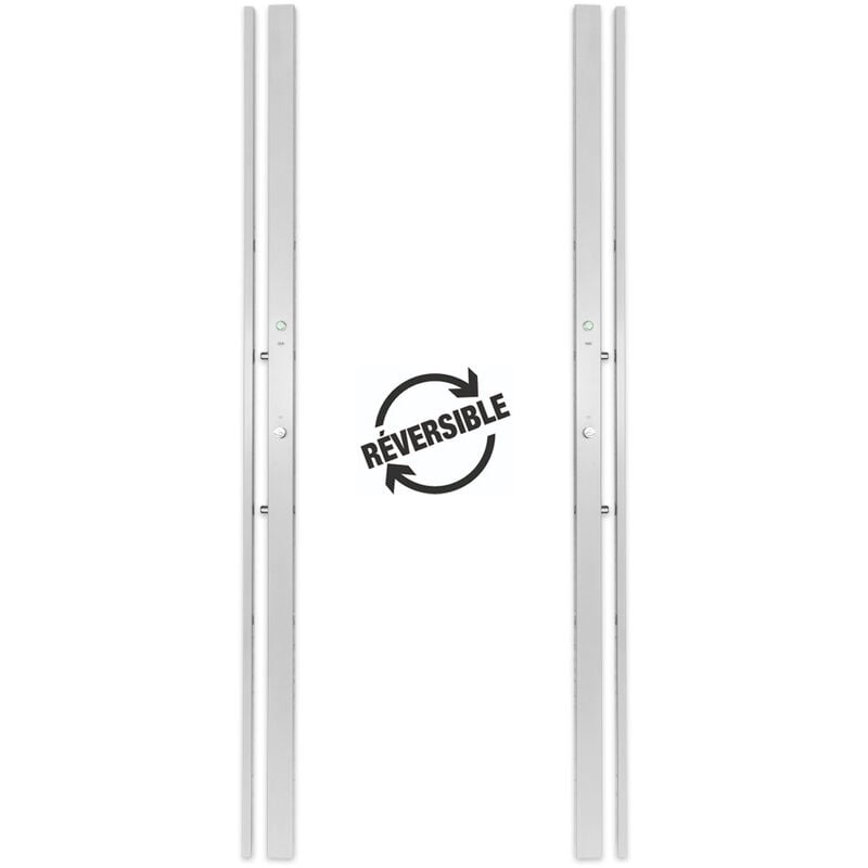 Serrure Electrique ban DOM 300 2 points Bandeau Reversible Demi Cylindre Couleur - Gris