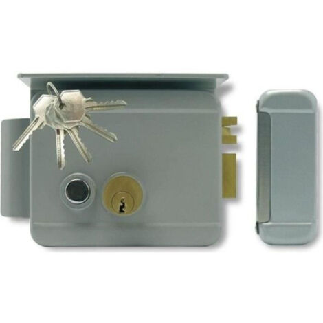 Serrure électrique réversible - EXTEL WE 5001/2 BIS - 5 clés incluses - Gris