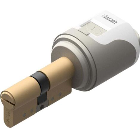Serrure électronique intelligente avec cylindre 35 x 35 mm - REMOCK